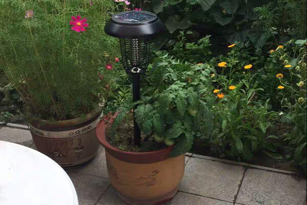一盏花园灭蚊灯可以呵护整个庭院