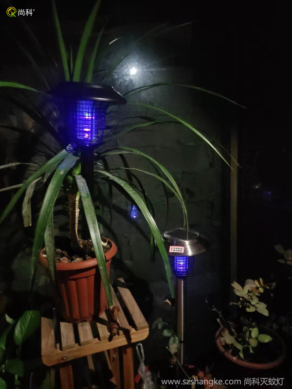 灭蚊灯为什么是紫色光
