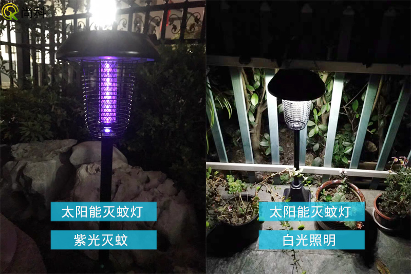 灭蚊灯为什么是紫色的光